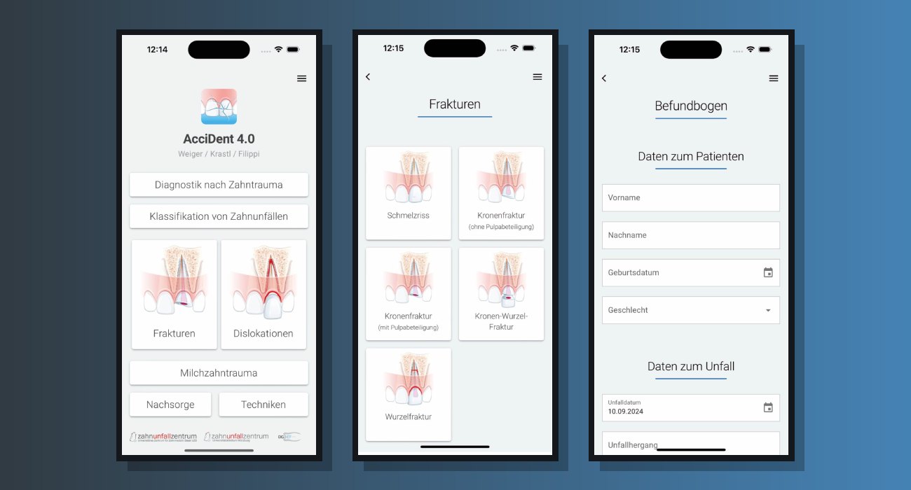 Referenz AcciDent 4.0 – App